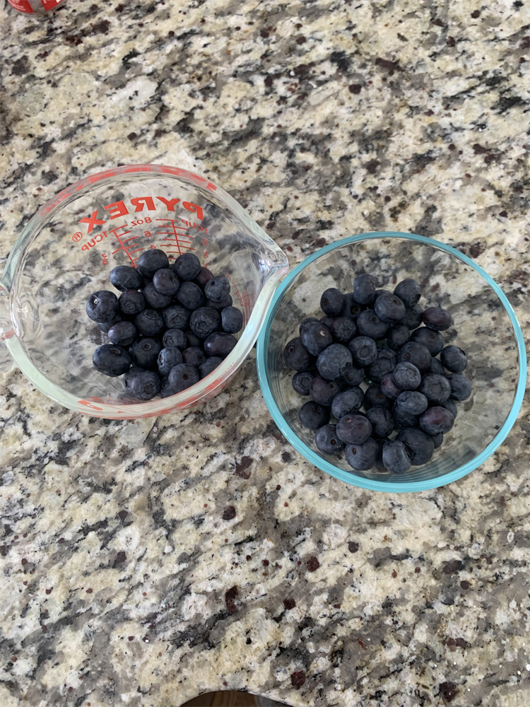 Frozen Blueberry Bites Lighten Up