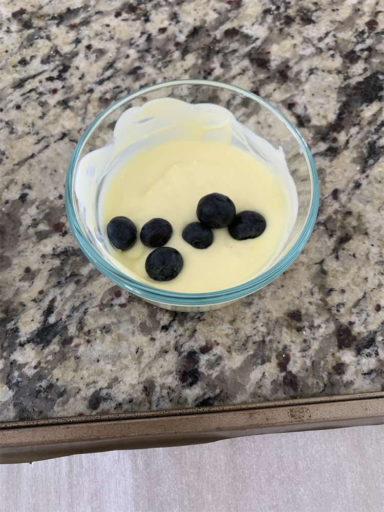 Frozen Blueberry Bites Lighten Up